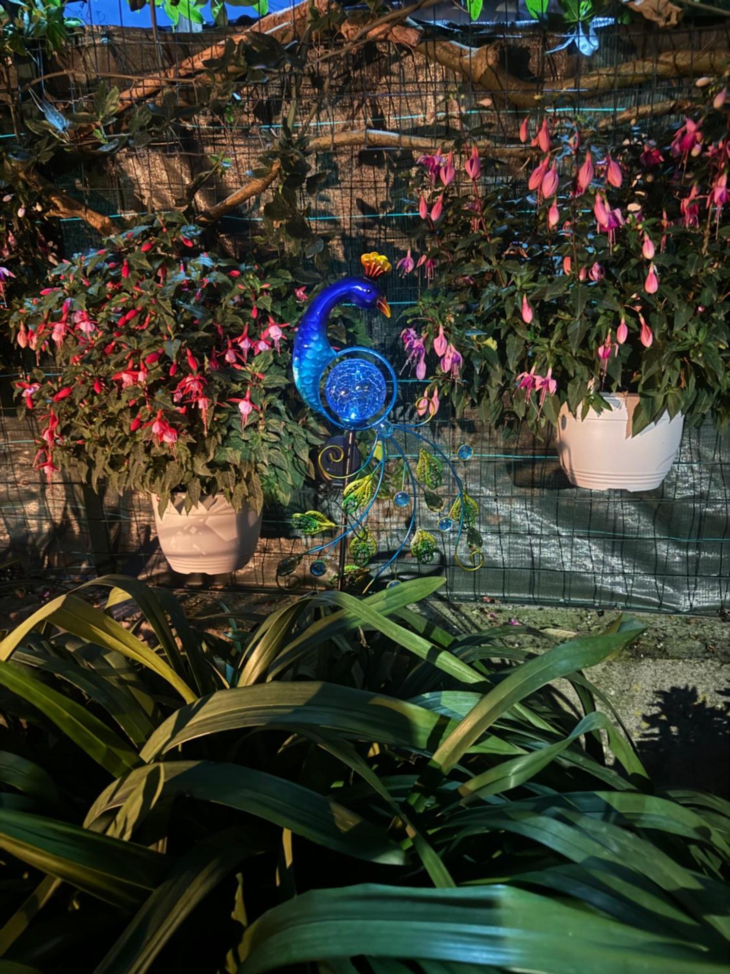 Il Limoneto Di Teresa Amalfi Coast Appartement Maiori Buitenkant foto