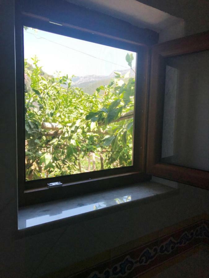 Il Limoneto Di Teresa Amalfi Coast Appartement Maiori Buitenkant foto