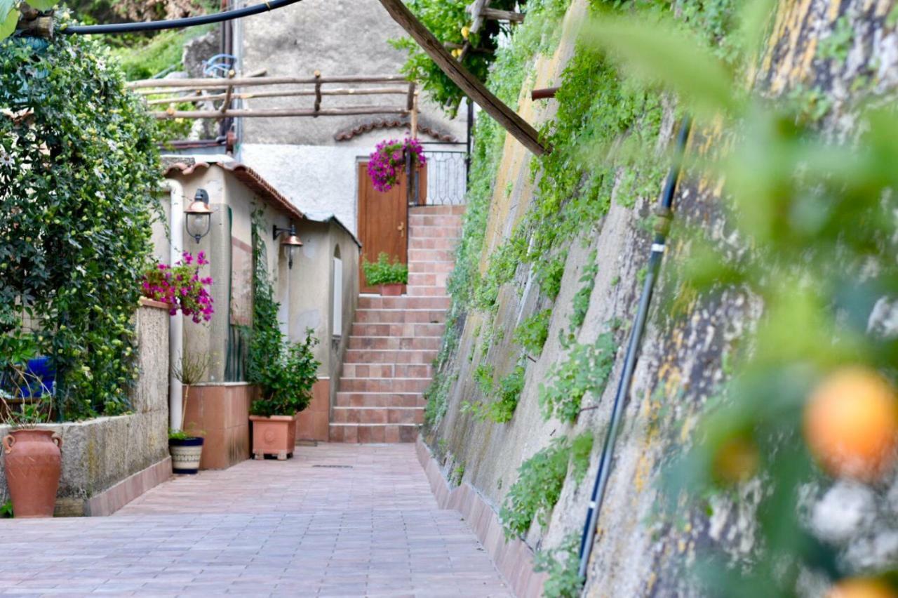 Il Limoneto Di Teresa Amalfi Coast Appartement Maiori Buitenkant foto